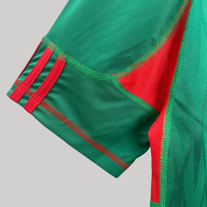 Mexico 2010 Home Kit